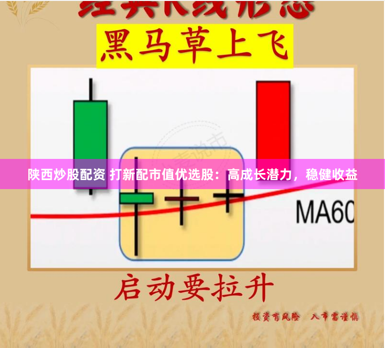陕西炒股配资 打新配市值优选股：高成长潜力，稳健收益