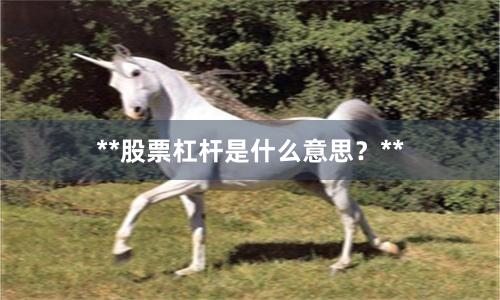 **股票杠杆是什么意思？**